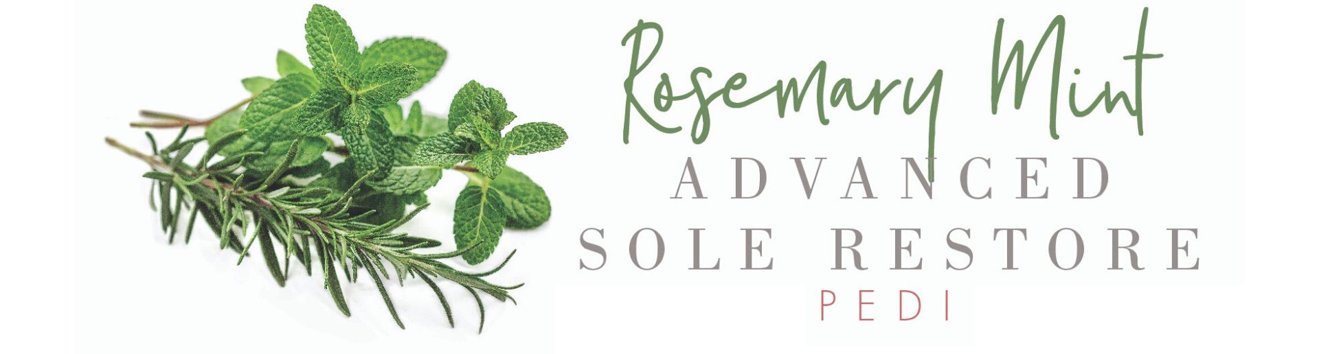 Rosemary Mint Website Icon Rosemary Mint Website Icon