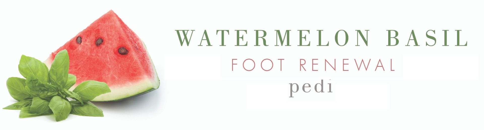 Watermelon Basil Website Icon Watermelon Basil Website Icon