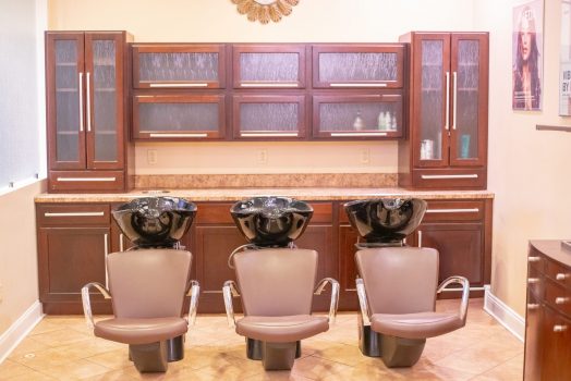 Salon.Clarksburg (2)